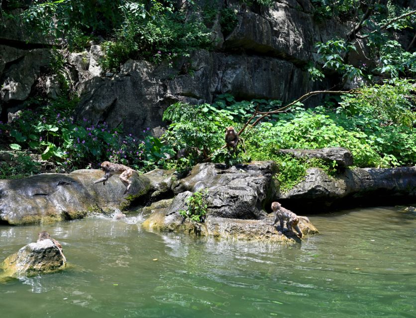 Sumidero Canyon & Chiapa De Corzo From Tuxtla - Visiting Chiapa De Corzo