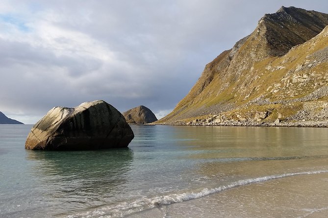 Summer Full-Day Guided Tour of the Lofoten Islands - Reviews and Feedback
