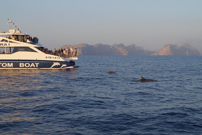 Sunrise Boat Trip in Mallorca With Dolphin-Watching - Customer Reviews and Feedback