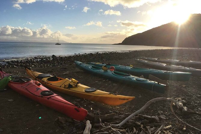 Sunrise Sea Kayaking Tour in Auckland - Tips for Your Tour