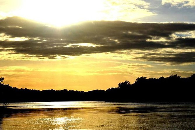 Sunset Boat Tour Into Caroni Wetlands - Best Time to Visit