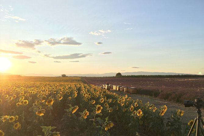 Sunset Lavender Tour From Aix-En-Provence - Recommendations for Travelers