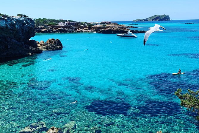 SUP Adventure Ibiza (Stand up Paddle , Snorkeling ,Kayaking) VIP - Accessibility Features