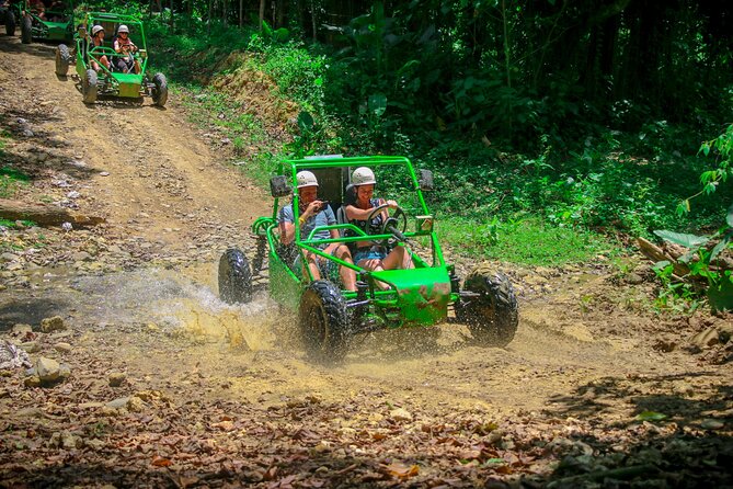 Super Safari 6X1 - Participant Reviews and Feedback