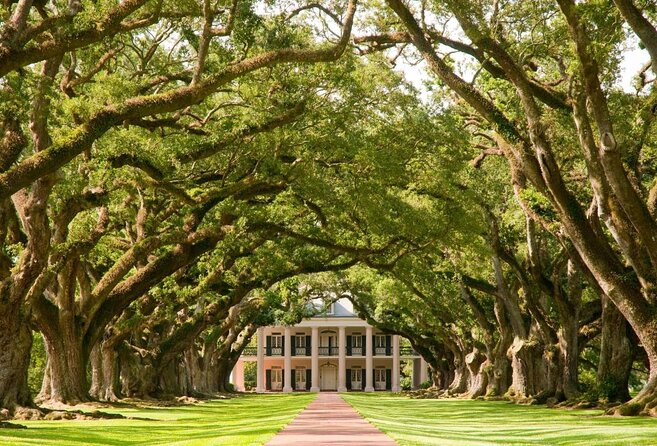 Swamp Boat Ride and Oak Alley Plantation Tour From New Orleans - Additional Information