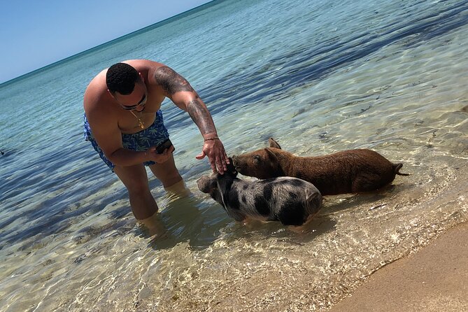 Swimming Pigs Beach Day+Snorkeling Bundle (Lunch+Tropical Drinks) - Customer Experience Highlights