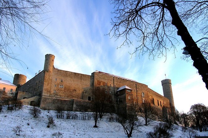 Tallinn City Private Tour - Reviews and Feedback
