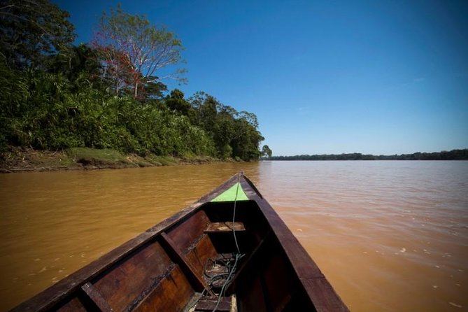 Tambopata Jungle Adventure Tour 4 Days - Traveler Experiences and Reviews