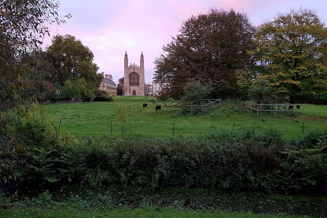 Tangential Cambridge: Group Walking Tour of Sights and Highlights - Accessibility and Transportation Considerations