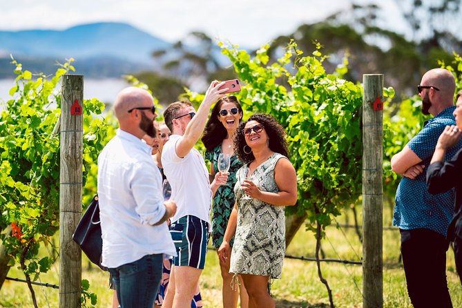 Tasmanian Premium Wine Tour With Tasmanian Cheese Platter - Wine Varieties to Expect