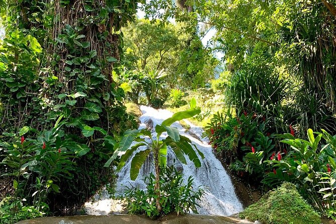 Taste of Jamaica Food Tour From Ocho Rios - Essential Booking Information