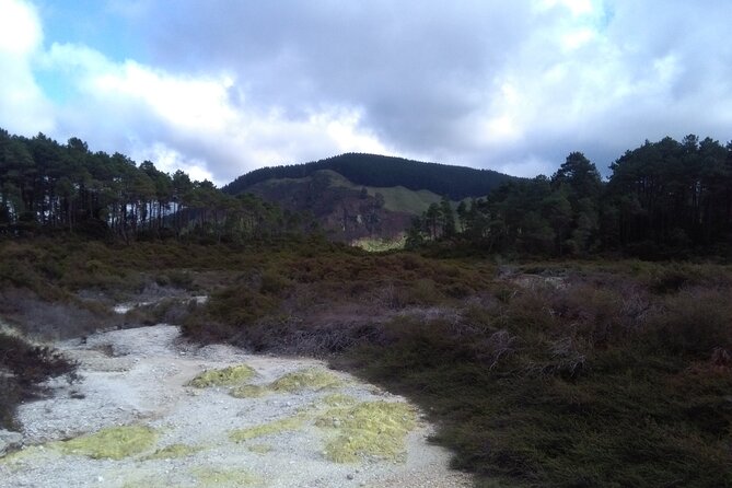 Taupo Day Trip With Orakei Korako or Waiotapu From Rotorua - Traveler Reviews and Feedback