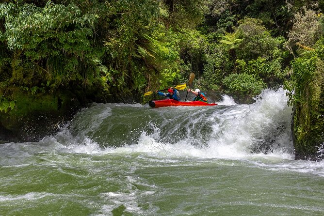 Tauranga Shore Excursion: Rotorua Highlights - Guest Experiences and Feedback