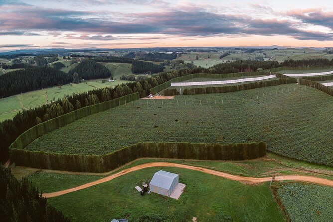Tauranga Shore Excursion: Small-Group Bay of Plenty and Tauranga Tour - Manuka Honey Experience
