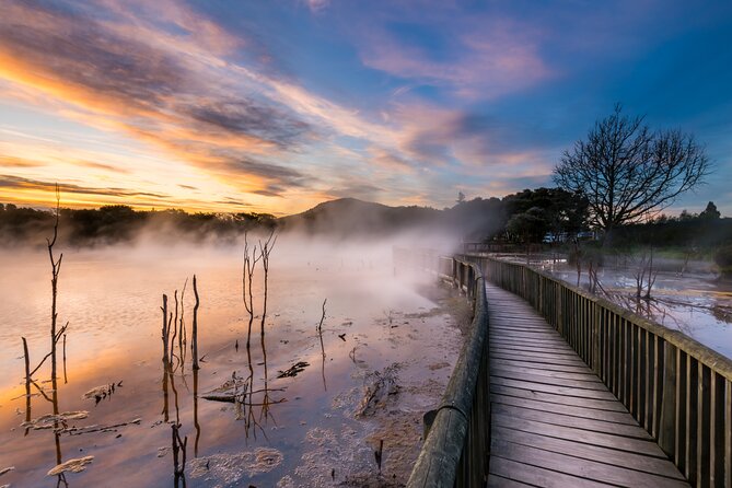 Tauranga Shore Excursion: Te Puia Maori Cultural Centre and Rotorua City Sightseeing - Guest Experiences and Reviews