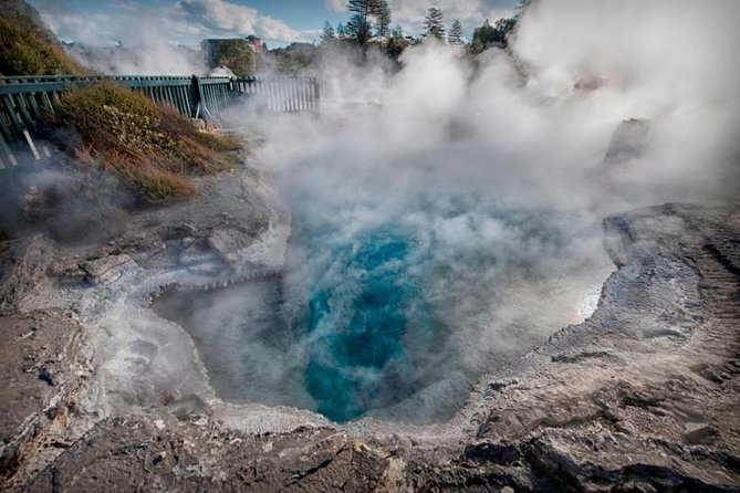 Tauranga - Wia O Tapu Wonderland & Rotorua Geysers: Private Tour - Customer Reviews