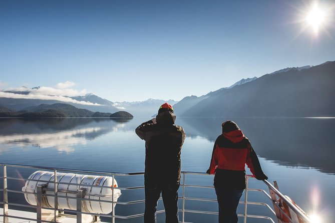 Te Anau Glow Worm Caves Tour - Traveler Reviews and Feedback