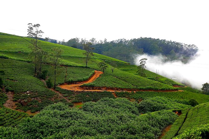 Tea Factories And Waterfalls Tour - Booking Process