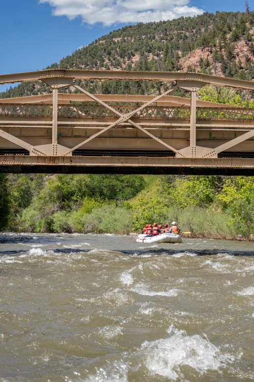 Telluride Whitewater Rafting - Morning Half Day - Not Suitable For