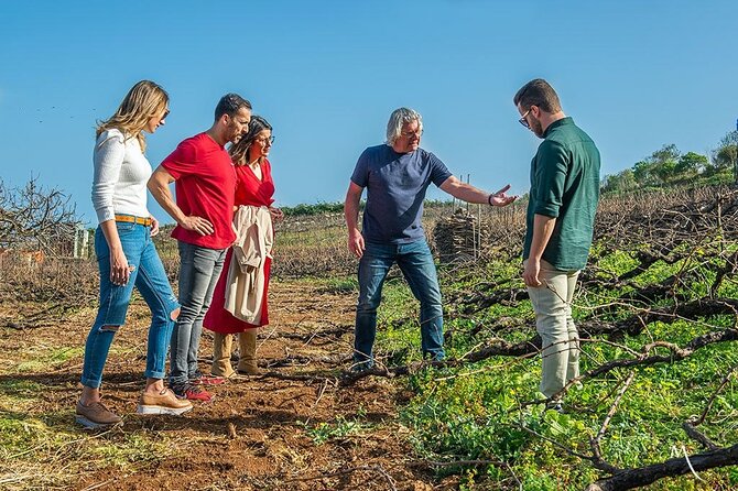 Tenerife Bodegas Monje Winery Tour With Wine and Cheese Tasting - Breathtaking Winery Vistas
