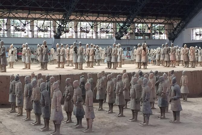 Terra-Cotta Warriors Entrance Ticket With Optional Guided Service - Reviews and Feedback Summary
