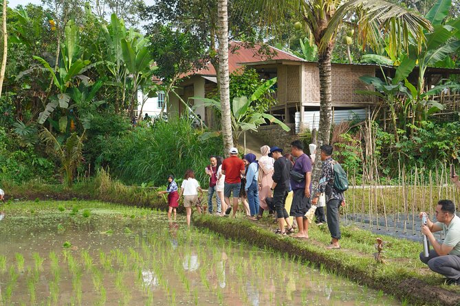 Tete Batu Tour (Temple, Terrace Rice, and Waterfalls) - Inclusions and Amenities