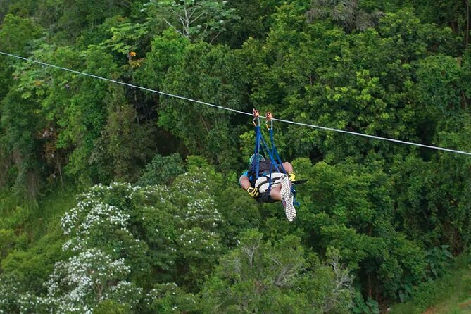 The Beast Zipline at Toroverde Adventure Park in Puerto Rico - Traveler Reviews and Insights