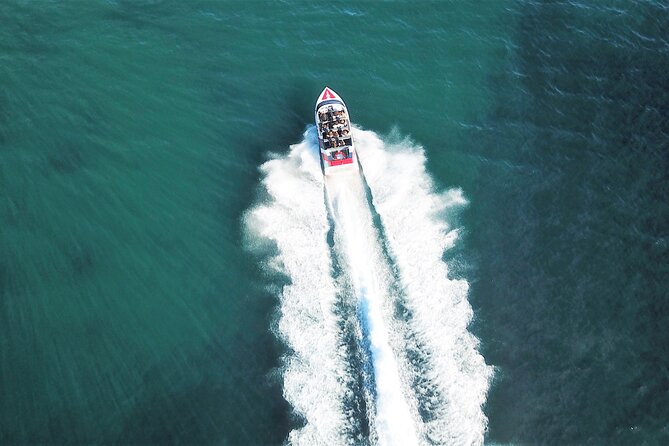 The Cove - Cathedral Cove Jet - What to Expect on the Ride