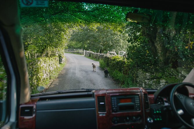 The Lake District From Manchester Including Lake Cruise & Train - Guest Reviews and Feedback
