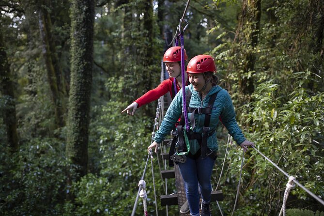 The Original Canopy Zipline Experience Private Tour From Auckland - Safety Requirements