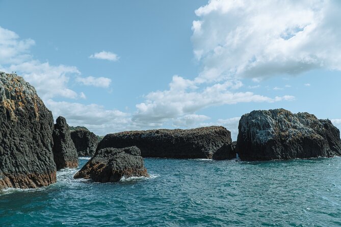 The Original Full Day Bay of Islands Cruise With Dolphins - Accessibility Features