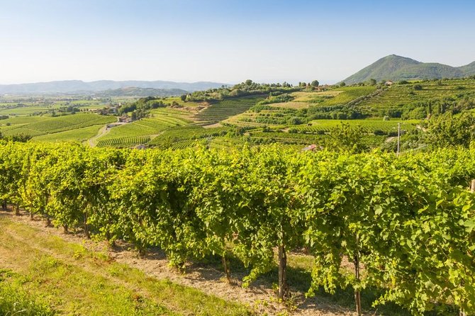 The Original Private Prosecco Tour All Inclusive From Conegliano - Scenic Views Along the Route