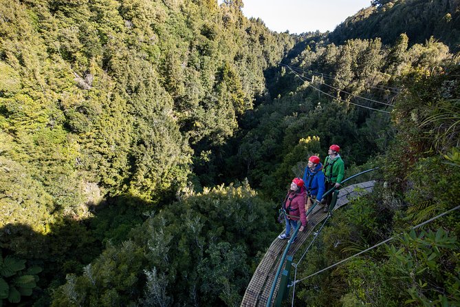 The Ultimate Canopy Zipline Experience Private Tour From Auckland - What to Expect on the Tour