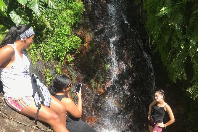 The Yunque Hike Adventure to Las Tinajas Waterfall From Fajardo - Health and Safety Considerations