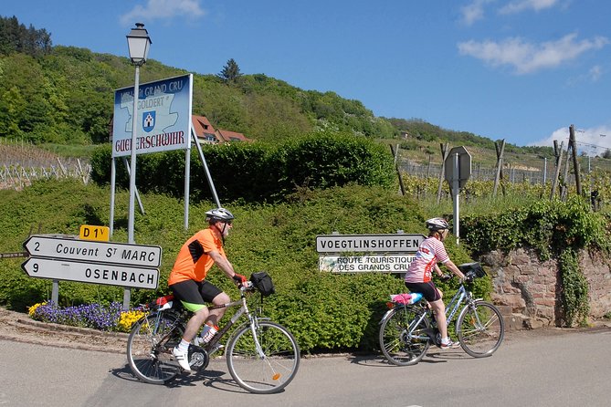 Through Alsace Vineyards and Wine Villages Private Bike Tour - Scenic Villages Explored