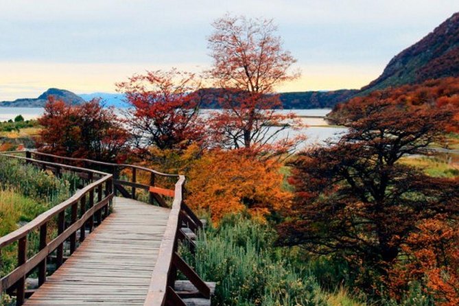 Tierra Del Fuego National Park - Recommendations for Visitors