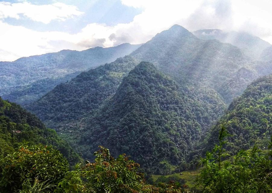 Tiger Hill Darjeeling Nature Walk (3 Hours Guided Tour) - Price and Booking Info