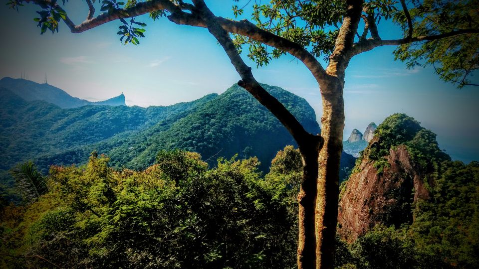 Tijuca National Park Small-Group Hike to Pedra Bonita - Group Dynamics and Tour Experience