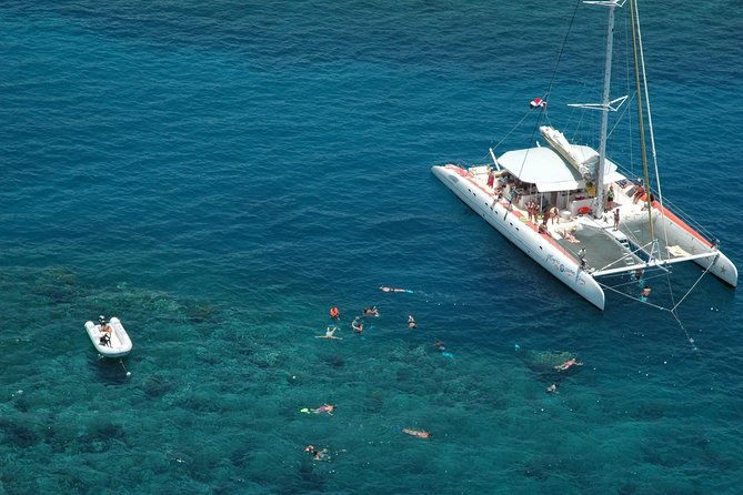 Tip Top Catamaran - Pricing Details