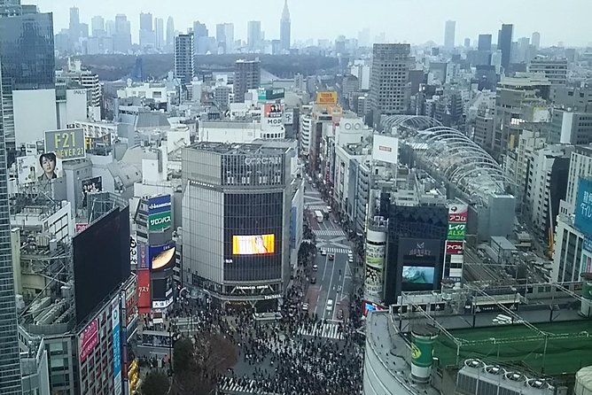 Tokyo Toilet Tour - Accessibility Considerations