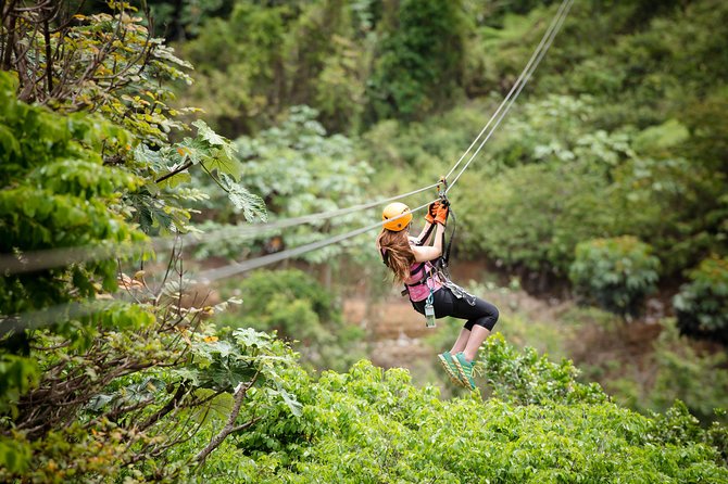Toro Verde 7-Zipline Tour Plus the Beast With Pickup - What to Expect on the Tour