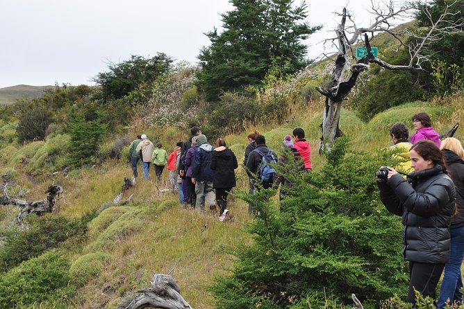Torres Del Paine Full Day Overland Truck 4x4 From El Calafate - Important Travel Considerations