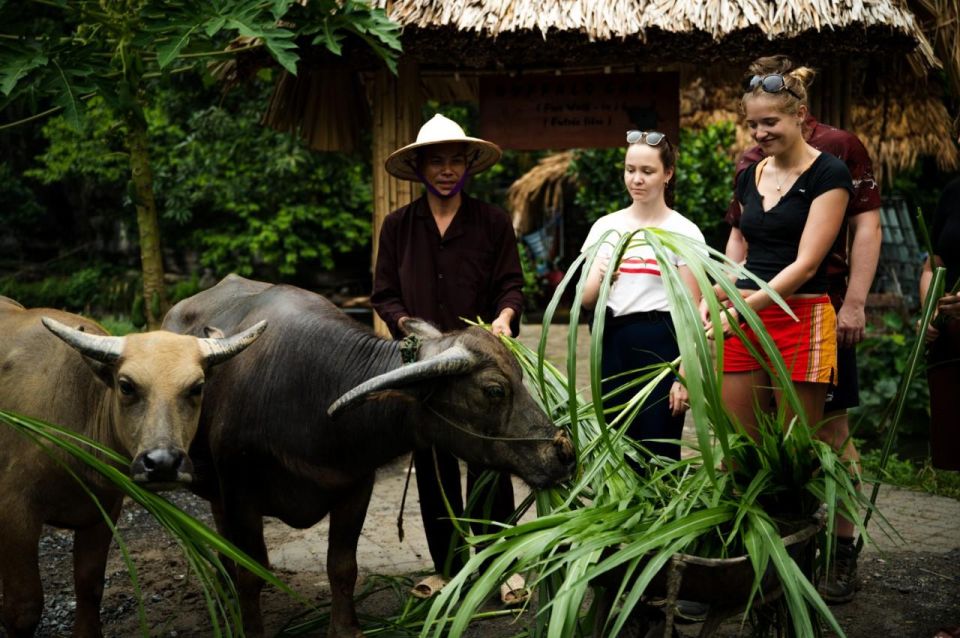 Tour Experience Riding Buffalo,Fishing, Boating and Mua Cave - Booking Information