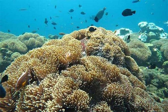Tour Gate of Heaven at Lempuyang Temple - Blue Lagoon Snorkeling With Lunch - Tour Schedule and Timing