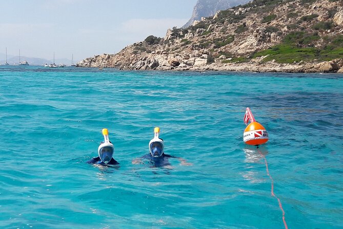 Tour in Rubber Dinghy and Snorkeling in the Protected Marine Area of Tavolara - Snorkeling Locations