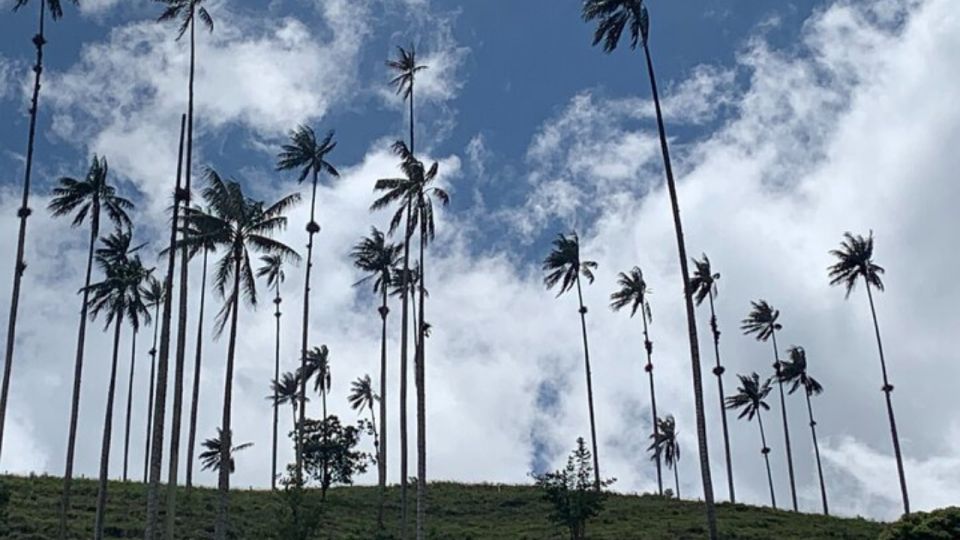 Tour to Salento and Cocora Valley From Pereira or Armenia - Additional Tour Options