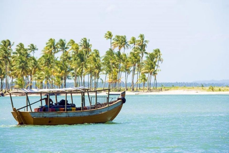 Transfer: Salvador To/From Boipeba Island - Scenic Experience Highlights