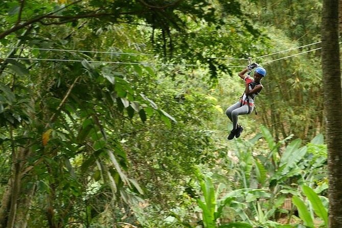 Treetop Adventure Park Canopy Tour - Customer Reviews