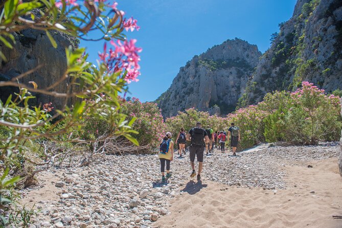 Trekking to Cala Luna, the Pearl of the Gulf of Orosei - Exclusions and Additional Costs