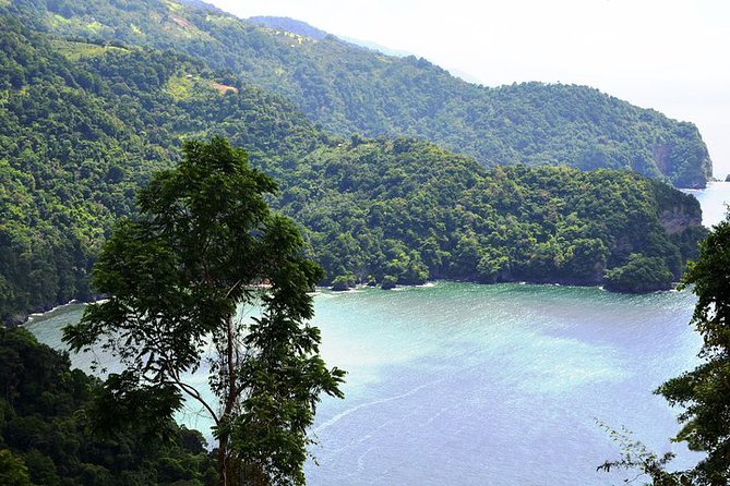 Trinidad Highlights Tour From Port of Spain - Local Cuisine Highlights